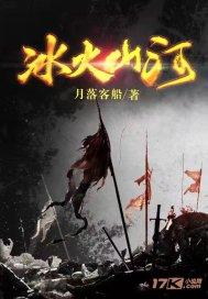 完美的收藏品